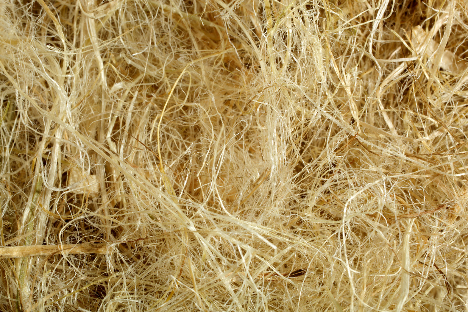 Isolants biosourcés Tout ce que vous devez savoir Tout sur l'isolation — free download